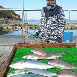 海の釣堀 海恵 釣果