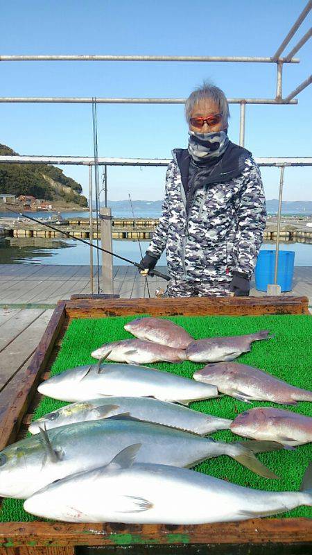 海の釣堀 海恵 釣果
