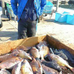 海の釣堀 海恵 釣果