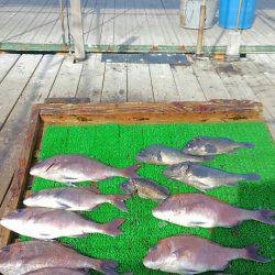 海の釣堀 海恵 釣果