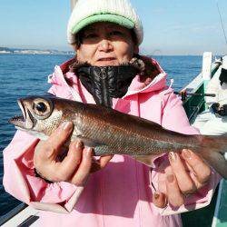 金沢八景鴨下丸 釣果