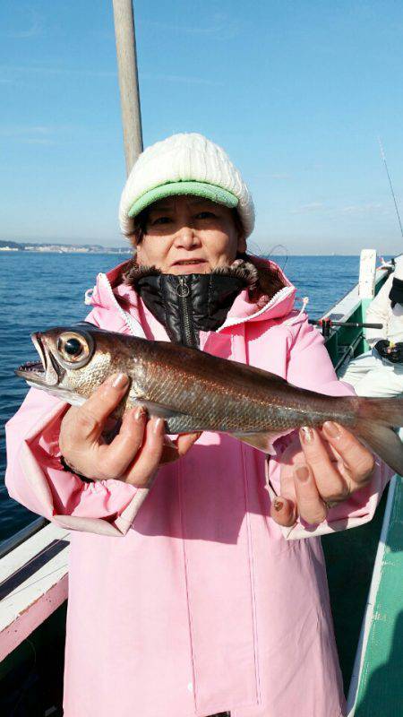 金沢八景鴨下丸 釣果