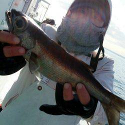 金沢八景鴨下丸 釣果