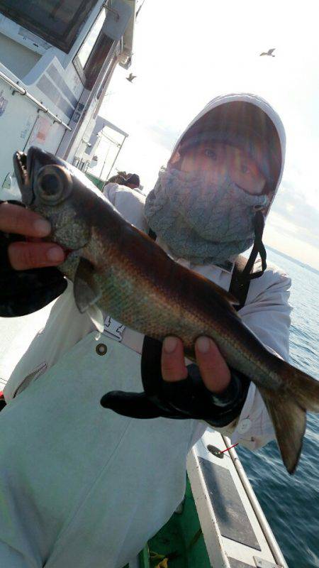 金沢八景鴨下丸 釣果