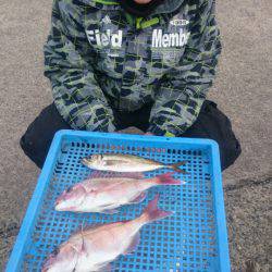 第三共栄丸 釣果