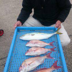 第三共栄丸 釣果