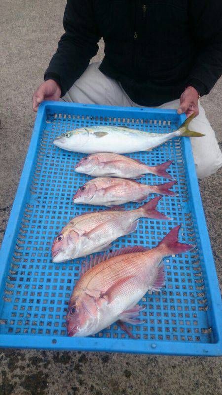 第三共栄丸 釣果