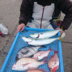 第三共栄丸 釣果