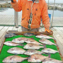 海の釣堀 海恵 釣果