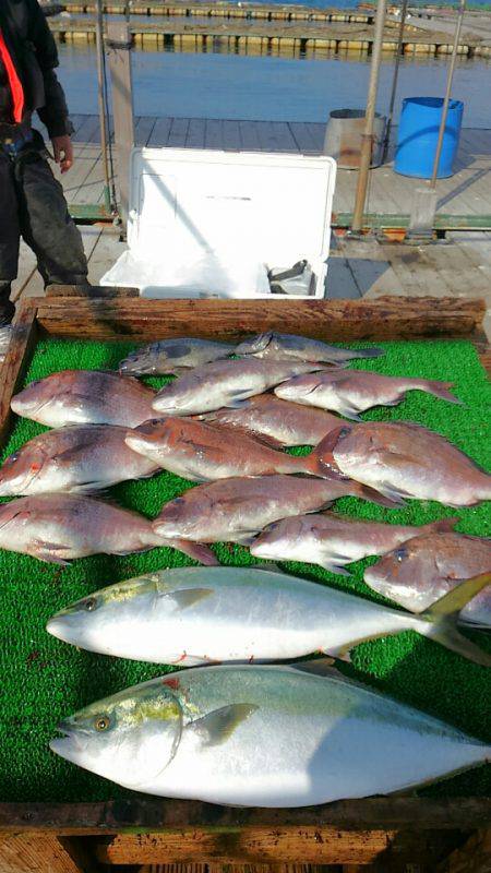 海の釣堀 海恵 釣果