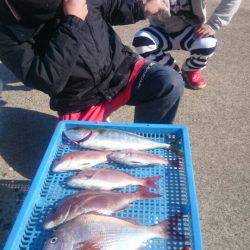 第三共栄丸 釣果