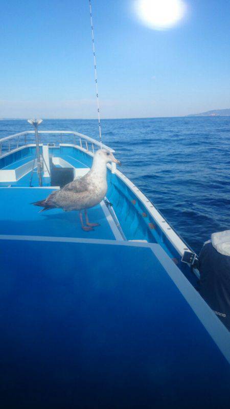 第三共栄丸 釣果