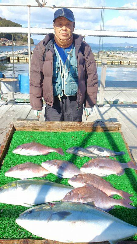 海の釣堀 海恵 釣果