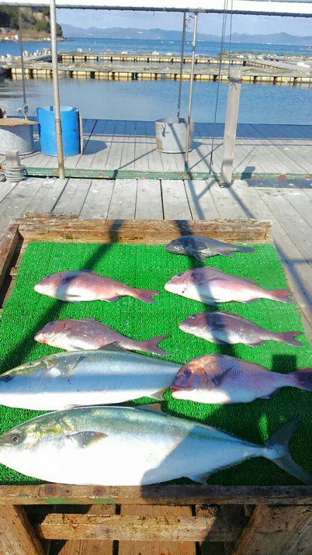 海の釣堀 海恵 釣果