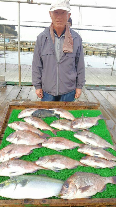 海の釣堀 海恵 釣果