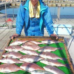 海の釣堀 海恵 釣果