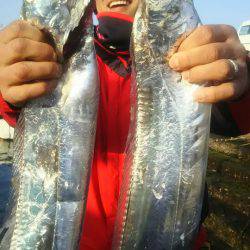 サンマリン 釣果