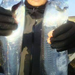 サンマリン 釣果