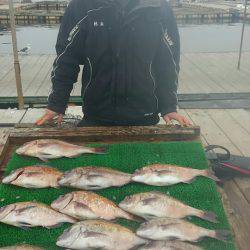 海の釣堀 海恵 釣果