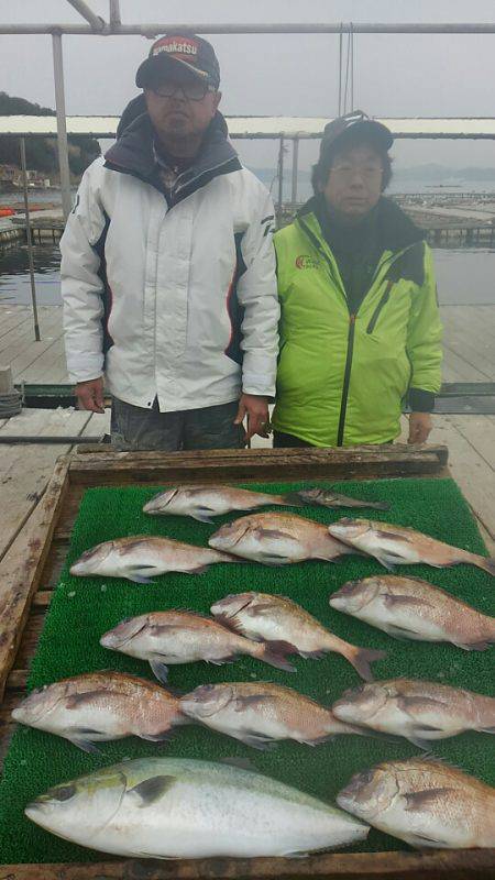 海の釣堀 海恵 釣果