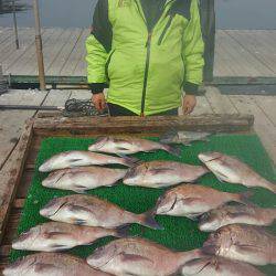 海の釣堀 海恵 釣果