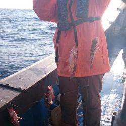 海龍丸（石川） 釣果