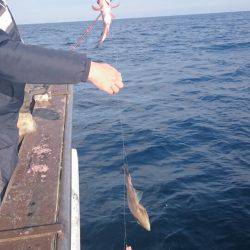 海龍丸（石川） 釣果