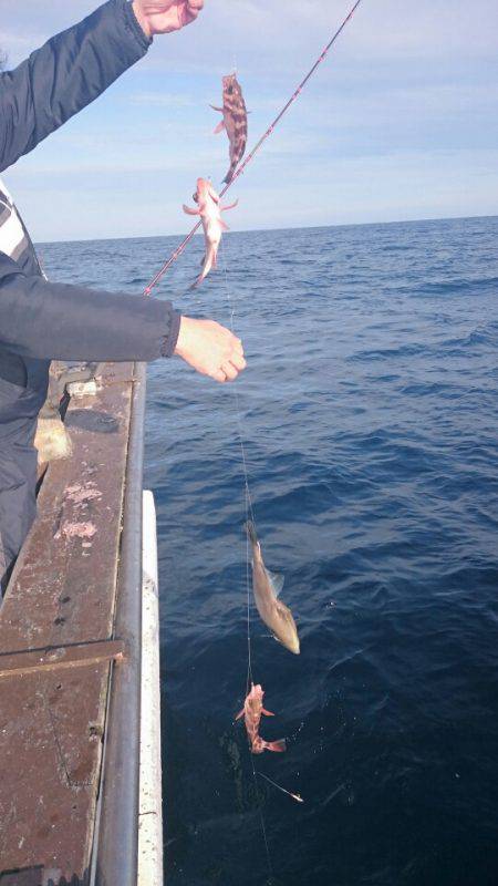 海龍丸（石川） 釣果