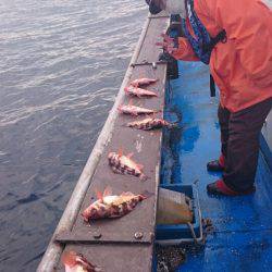 海龍丸（石川） 釣果