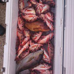 海龍丸（石川） 釣果