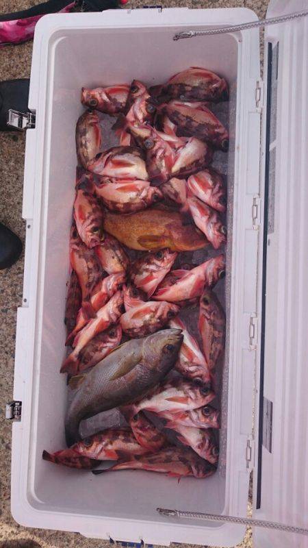 海龍丸（石川） 釣果