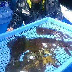 第三共栄丸 釣果