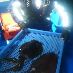 第三共栄丸 釣果