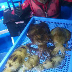 第三共栄丸 釣果