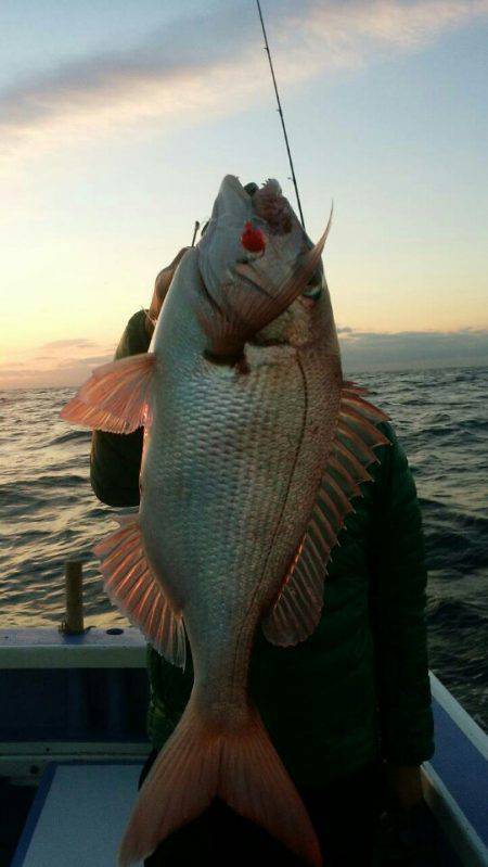 新幸丸 釣果