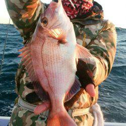 新幸丸 釣果