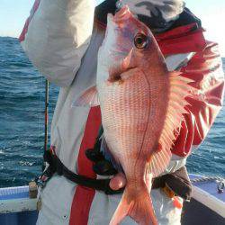 新幸丸 釣果