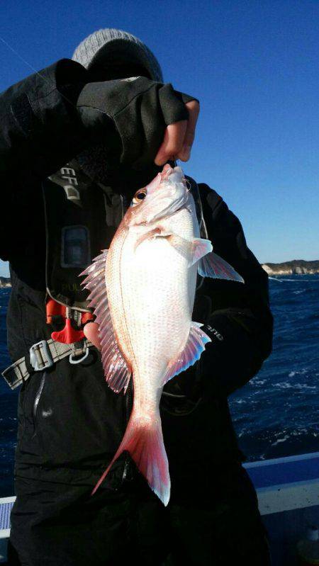 新幸丸 釣果