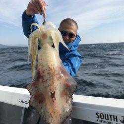 South Current 釣果