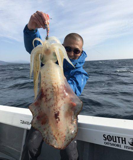 South Current 釣果