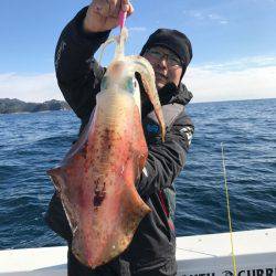 South Current 釣果