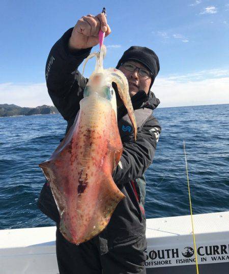 South Current 釣果