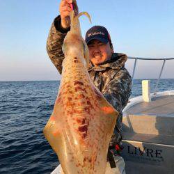 South Current 釣果