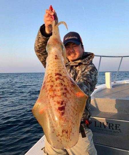 South Current 釣果