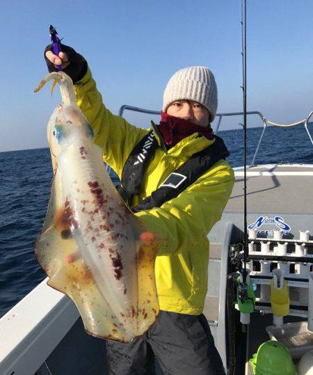 South Current 釣果