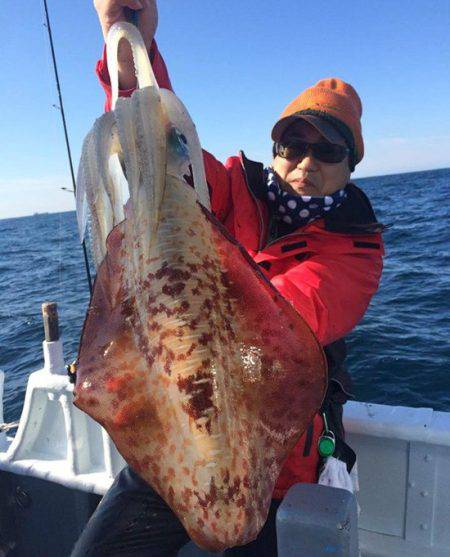 South Current 釣果