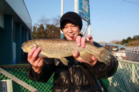 としまえんフィッシングエリア 釣果