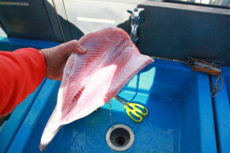 としまえんフィッシングエリア 釣果