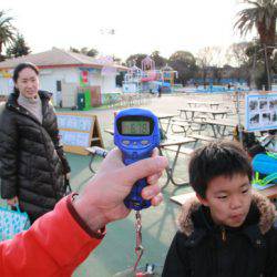 としまえんフィッシングエリア 釣果