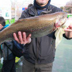 としまえんフィッシングエリア 釣果